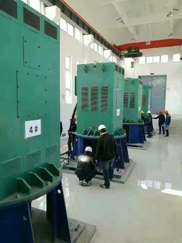 YKK7108-10某污水处理厂使用我厂的立式高压电机安装现场